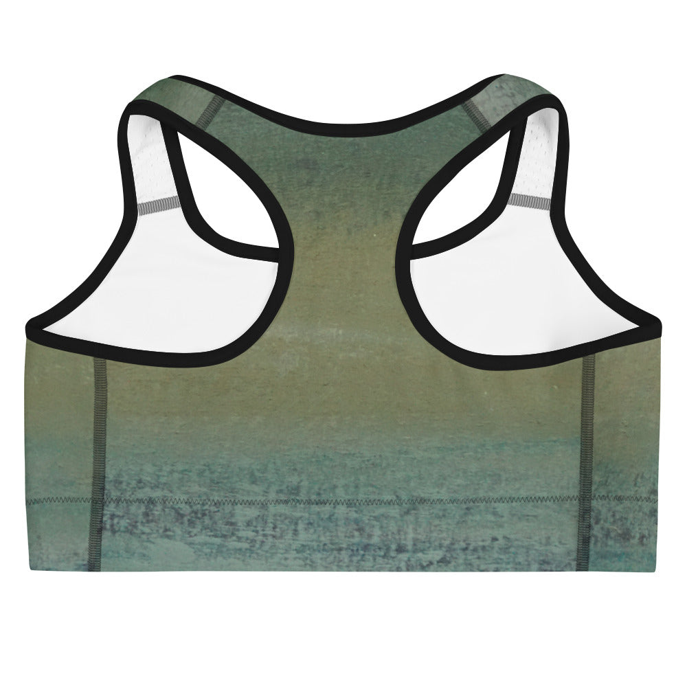 Feeling Generous ~ Sports Bra