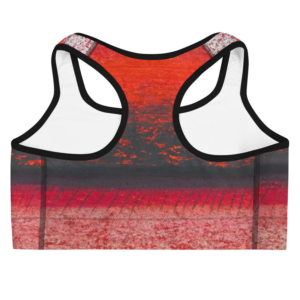 Be Fierce ~ Sports bra