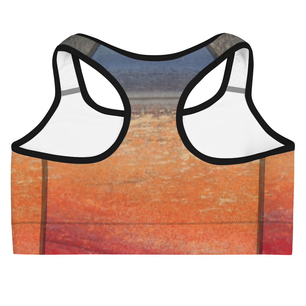 Red Sky ~ Sports bra