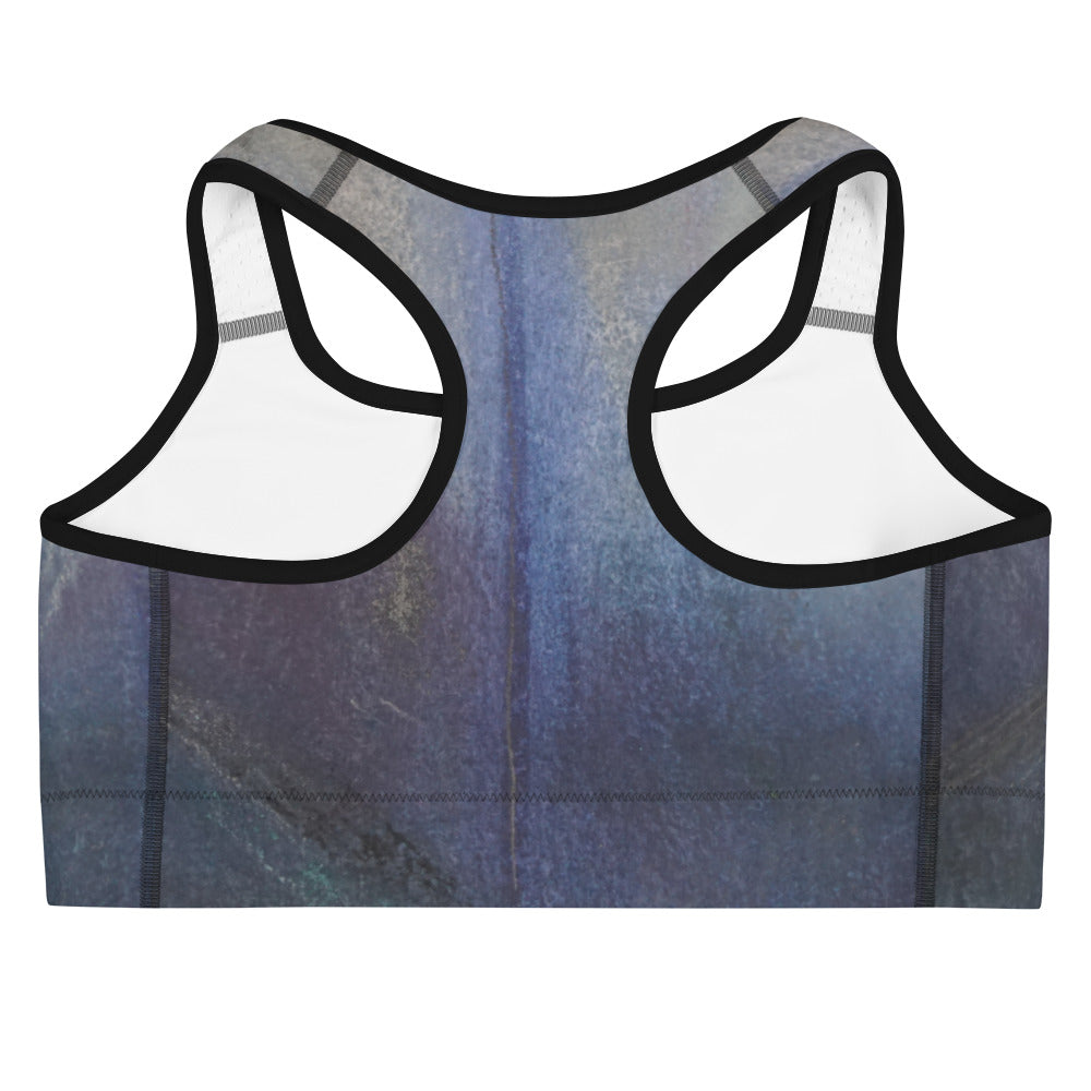 Through the Fog ~ Sports bra