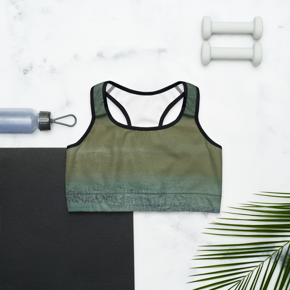 Feeling Generous ~ Sports Bra