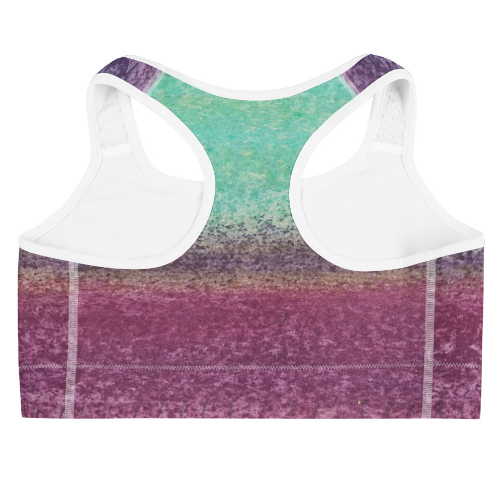 Touch the Imagination ~ Sports bra