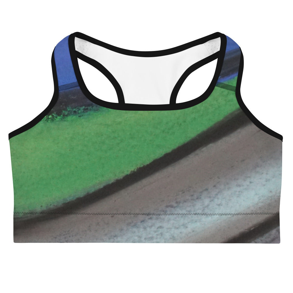 Take Up Space ~ Sports bra